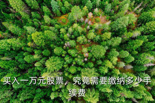 買入一萬元股票，究竟需要繳納多少手續(xù)費