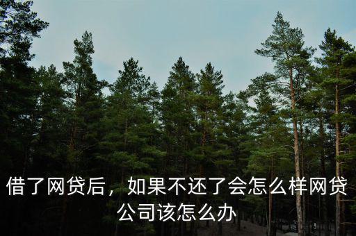 借了網(wǎng)貸后，如果不還了會怎么樣網(wǎng)貸公司該怎么辦