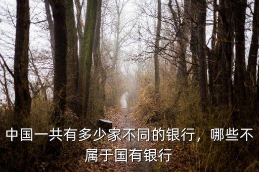 中國一共有多少家不同的銀行，哪些不屬于國有銀行