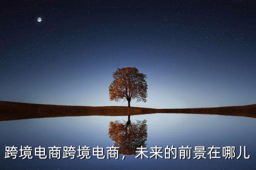 跨境電商跨境電商，未來的前景在哪兒
