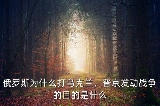 俄羅斯為什么打烏克蘭，普京發(fā)動戰(zhàn)爭的目的是什么