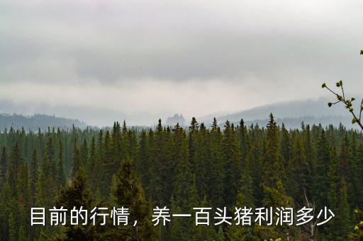 目前的行情，養(yǎng)一百頭豬利潤(rùn)多少