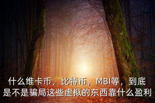什么維卡幣，比特幣，MBI等，到底是不是騙局這些虛擬的東西靠什么盈利