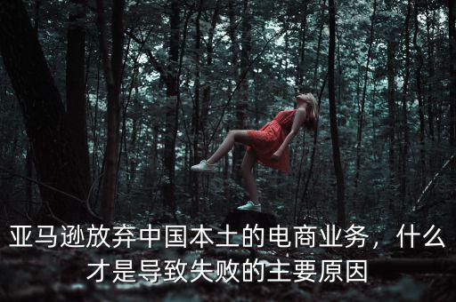 亞馬遜放棄中國本土的電商業(yè)務(wù)，什么才是導(dǎo)致失敗的主要原因