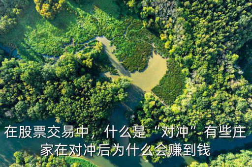 在股票交易中，什么是“對(duì)沖”有些莊家在對(duì)沖后為什么會(huì)賺到錢(qián)
