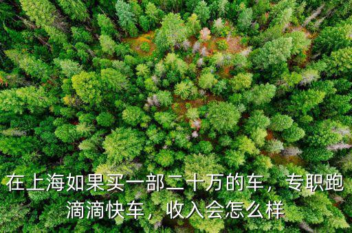 在上海如果買一部二十萬的車，專職跑滴滴快車，收入會怎么樣