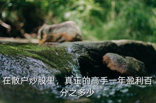 在散戶炒股里，真正的高手一年盈利百分之多少
