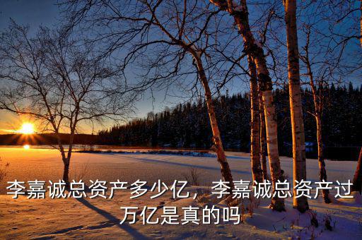 李嘉誠總資產(chǎn)多少億，李嘉誠總資產(chǎn)過萬億是真的嗎