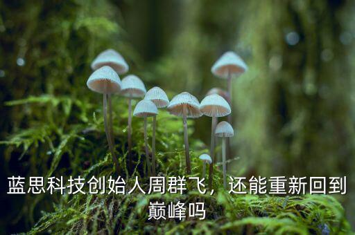 藍思科技創(chuàng)始人周群飛，還能重新回到巔峰嗎