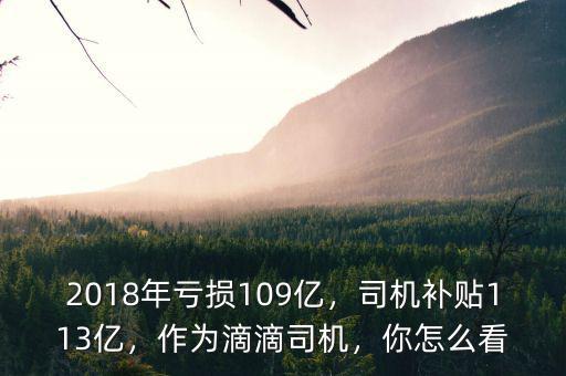 2018年虧損109億，司機(jī)補(bǔ)貼113億，作為滴滴司機(jī)，你怎么看