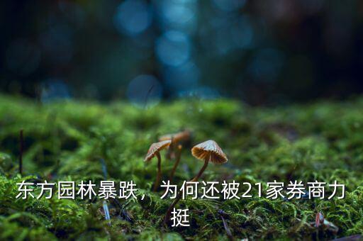 東方園林暴跌，為何還被21家券商力挺