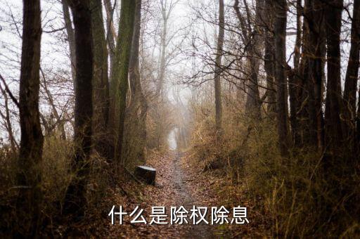 什么是除權除息