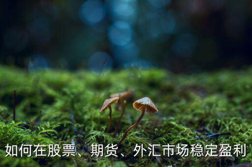 如何在股票、期貨、外匯市場穩(wěn)定盈利