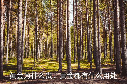黃金為什么貴，黃金都有什么用處