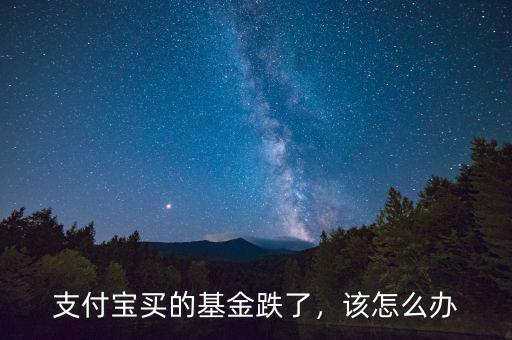支付寶買的基金跌了，該怎么辦