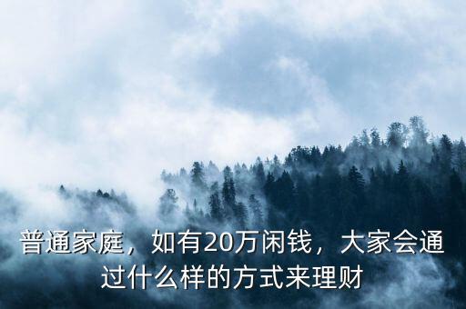 普通家庭，如有20萬閑錢，大家會通過什么樣的方式來理財