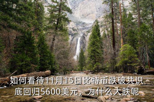 如何看待11月15日比特幣跌破共識(shí)底回歸5600美元，為什么大跌呢