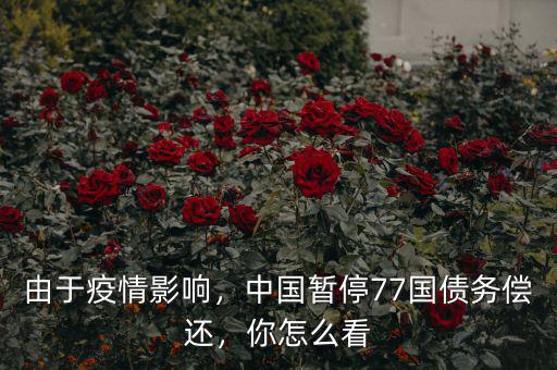 由于疫情影響，中國暫停77國債務償還，你怎么看