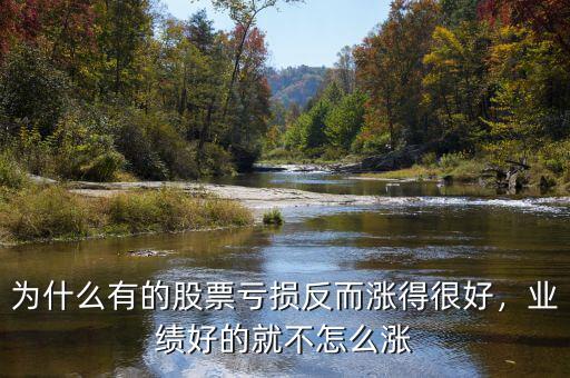 為什么有的股票虧損反而漲得很好，業(yè)績(jī)好的就不怎么漲