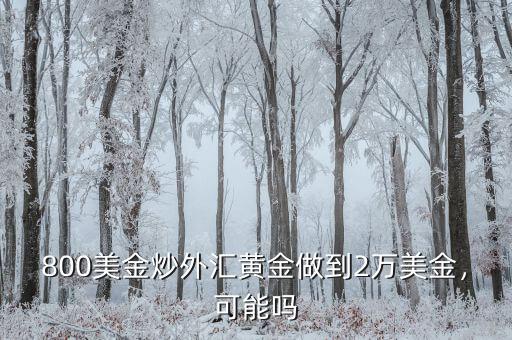 800美金炒外匯黃金做到2萬美金，可能嗎
