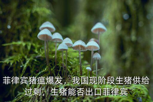 菲律賓豬瘟爆發(fā)，我國現(xiàn)階段生豬供給過剩，生豬能否出口菲律賓