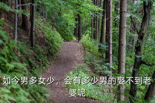 如今男多女少，會有多少男的娶不到老婆呢