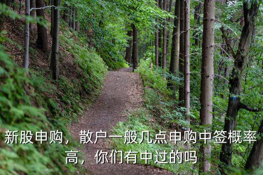 新股申購(gòu)，散戶一般幾點(diǎn)申購(gòu)中簽概率高，你們有中過(guò)的嗎