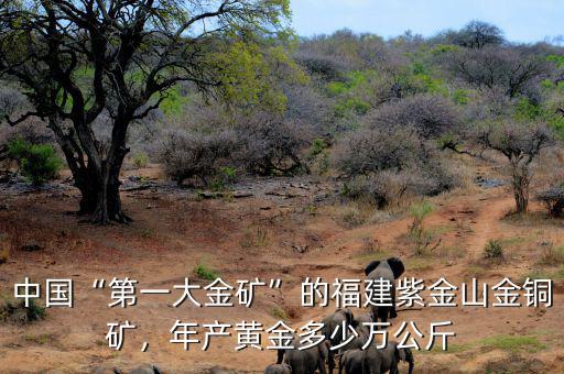 中國“第一大金礦”的福建紫金山金銅礦，年產(chǎn)黃金多少萬公斤