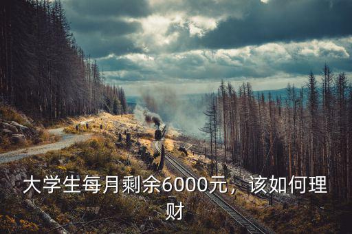 大學(xué)生每月剩余6000元，該如何理財