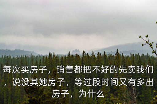 每次買房子，銷售都把不好的先賣我們，說沒其她房子，等過段時間又有多出房子，為什么