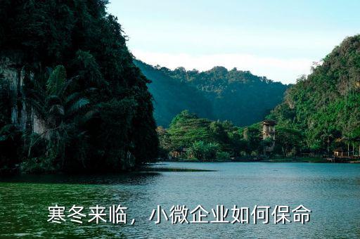 寒冬來臨，小微企業(yè)如何保命