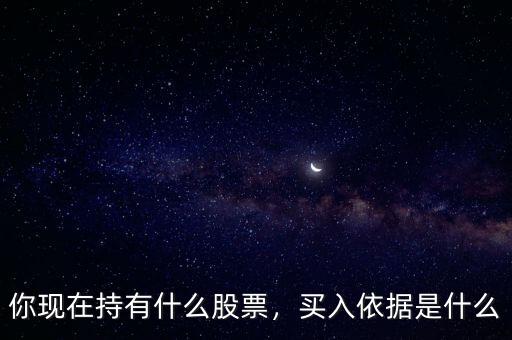 你現(xiàn)在持有什么股票，買(mǎi)入依據(jù)是什么