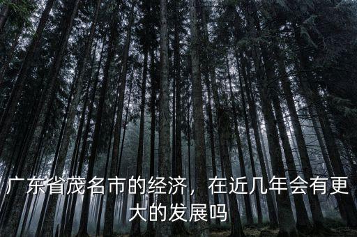 廣東省茂名市的經(jīng)濟(jì)，在近幾年會(huì)有更大的發(fā)展嗎