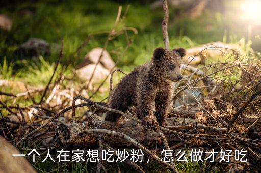 一個(gè)人在家想吃炒粉，怎么做才好吃