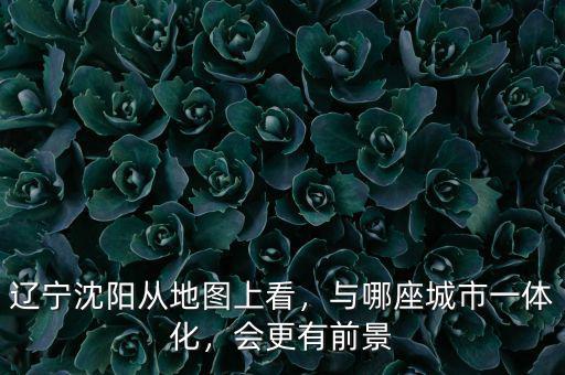 遼寧沈陽從地圖上看，與哪座城市一體化，會更有前景