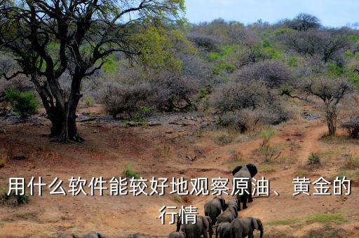 用什么軟件能較好地觀察原油、黃金的行情