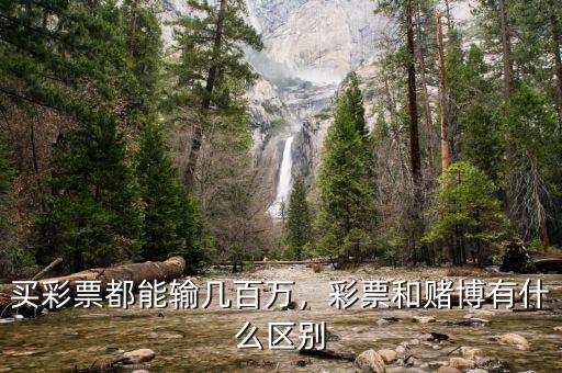 買彩票都能輸幾百萬，彩票和賭博有什么區(qū)別
