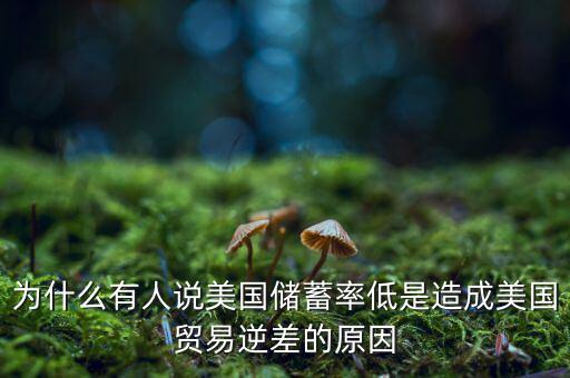 美國儲(chǔ)蓄率是多少,儲(chǔ)蓄率上升說明了什么