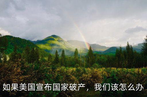如果美國宣布國家破產(chǎn)，我們該怎么辦