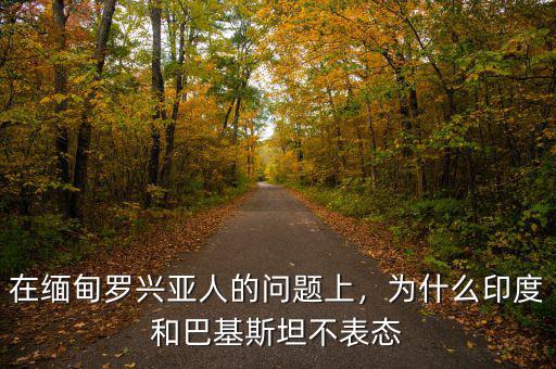 在緬甸羅興亞人的問題上，為什么印度和巴基斯坦不表態(tài)