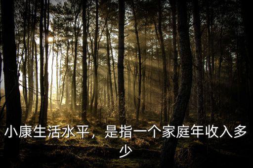 小康生活水平，是指一個家庭年收入多少