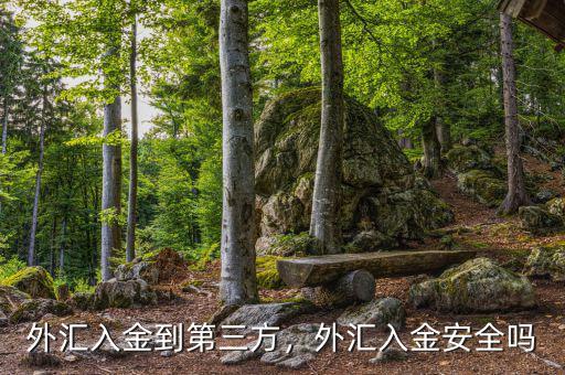 外匯入金到第三方，外匯入金安全嗎