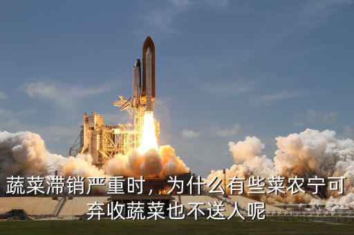 蔬菜滯銷嚴(yán)重時(shí)，為什么有些菜農(nóng)寧可棄收蔬菜也不送人呢