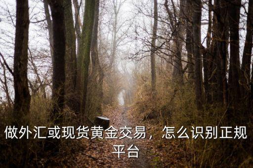 做外匯或現(xiàn)貨黃金交易，怎么識(shí)別正規(guī)平臺(tái)