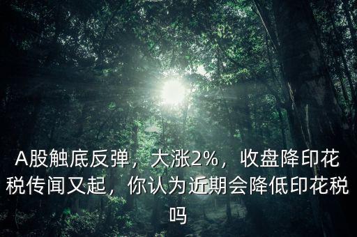 A股觸底反彈，大漲2%，收盤降印花稅傳聞又起，你認(rèn)為近期會降低印花稅嗎