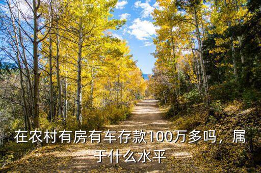 在農(nóng)村有房有車存款100萬多嗎，屬于什么水平
