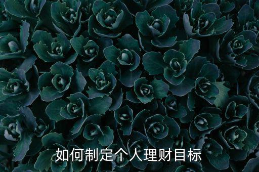 理財(cái)目標(biāo)需要確定的原則是什么,如何制定個人理財(cái)目標(biāo)