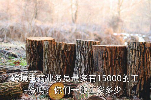 跨境電商業(yè)務(wù)員最多有15000的工資嗎，你們一般工資多少