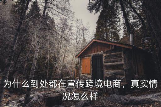 為什么到處都在宣傳跨境電商，真實情況怎么樣