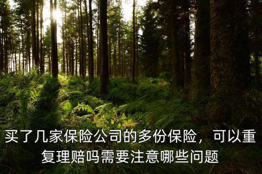 買了幾家保險(xiǎn)公司的多份保險(xiǎn)，可以重復(fù)理賠嗎需要注意哪些問題